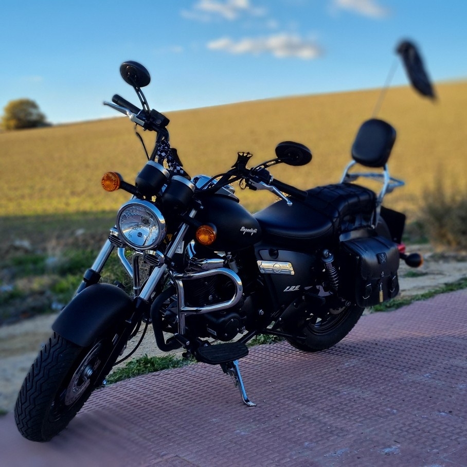 Sólo podemos dominar la naturaleza si la obedecemos.